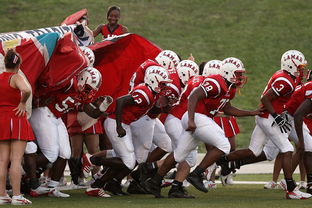 米兰全站APP下载-青少年体育活动参与模式及影响因素分析,《青少年体育活动促进计划》