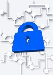 ac米兰足球队-青少年运动损伤防护知识传播策略,青少年运动防护和损伤的预防